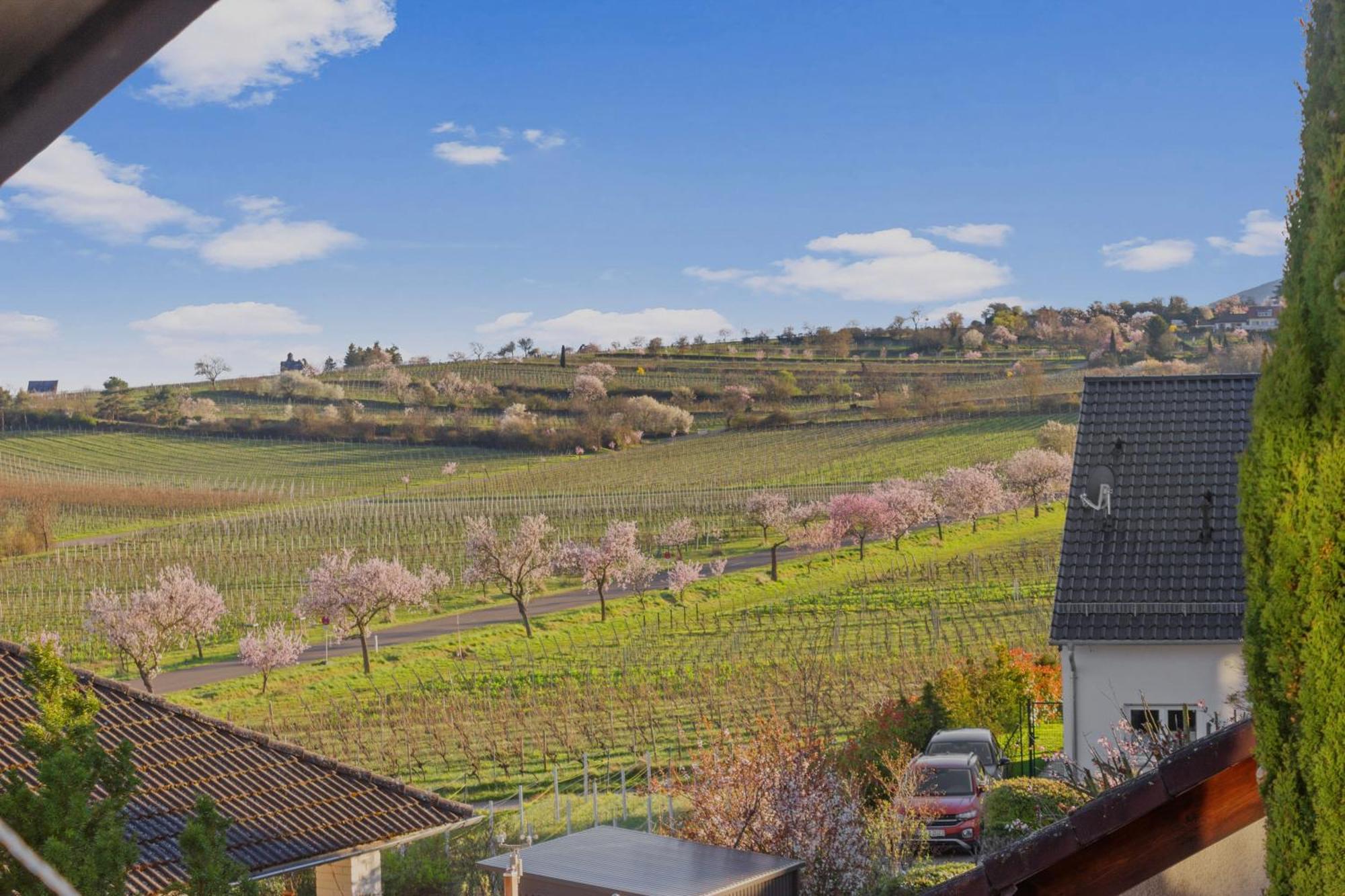 Upper Room: Apartment Mit Exklusiver Ausstattung-Ausblick Auf Weinberge&Mandelbluetenpfad Neustadt an der Weinstraße Extérieur photo